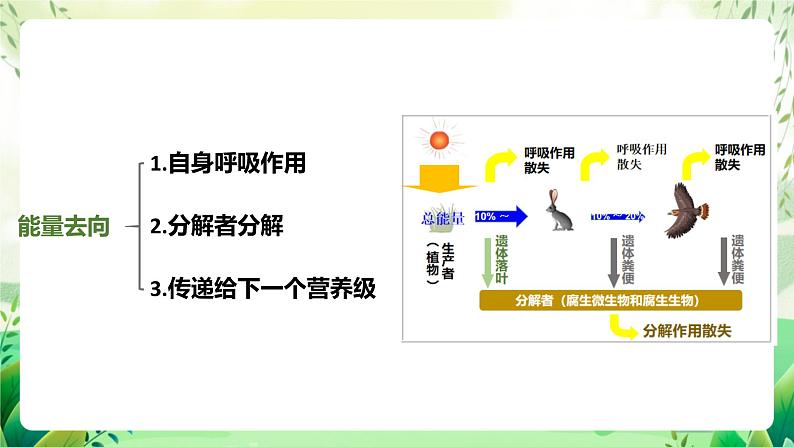 济南版生物八下6.2.3.1《能量流动和物质循环》课件第8页