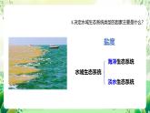 濟南版生物八下6.2.4.1《生態(tài)系統(tǒng)的類型》課件