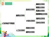 濟南版生物八下6.2.5.1《生態(tài)系統(tǒng)的自我調(diào)節(jié)》課件