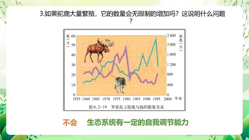 济南版生物八下6.2.5.1《生态系统的自我调节》课件第8页