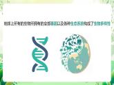 济南版生物八下6.3.1.1《生物多样性》课件