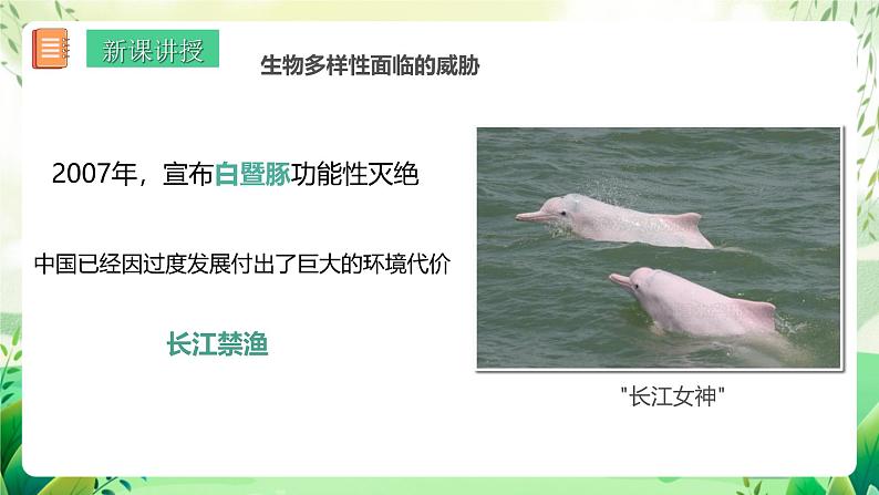 济南版生物八下6.3.2.1《生物多样性的保护》课件第4页