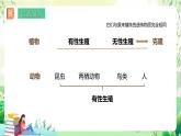 济南版生物八下7.2.1.1《 克隆技术》课件