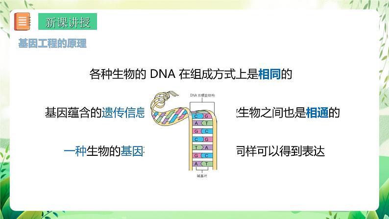 济南版生物八下7.2.1.1《基因工程》课件第5页