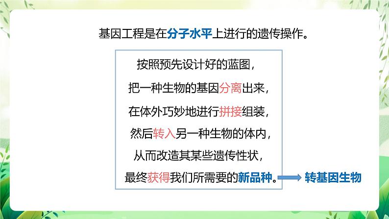 济南版生物八下7.2.1.1《基因工程》课件第8页