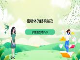 沪教版生物八下4.1.1《植物体的结构层次》课件