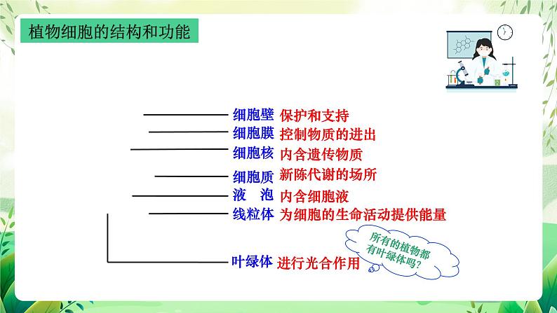 沪教版生物八下4.1.1《植物体的结构层次》课件第5页