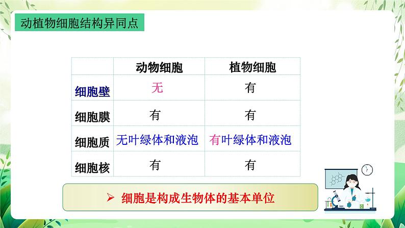 沪教版生物八下4.1.1《植物体的结构层次》课件第7页