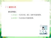 沪教版生物八下4.1.2《植物的基本类群》课件