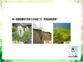 沪教版生物八下4.1.3《叶的结构与功能》课件