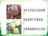 沪教版生物八下4.1.4《花的结构与植物的繁殖》课件