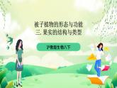 沪教版生物八下4.1.5《果实的结构与类型》课件