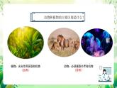 沪教版生物八下4.2.1《脊椎动物（一）鱼类》课件