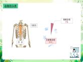 沪教版生物八下4.2.1《脊椎动物（一）鱼类》课件