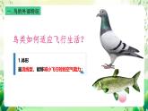 沪教版生物八下4.2.1《脊椎动物（三）鸟类》课件