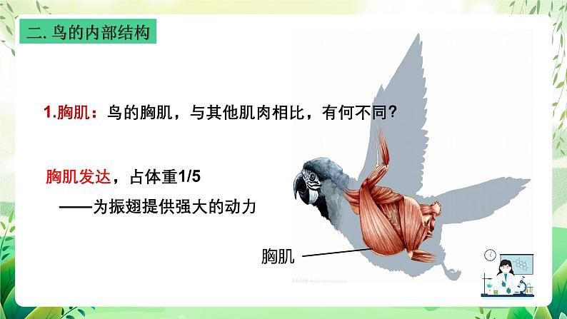 沪教版生物八下4.2.1《脊椎动物（三）鸟类》课件第8页