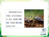 沪教版生物八下4.2.1《脊椎动物（二）两栖类和爬行类》课件