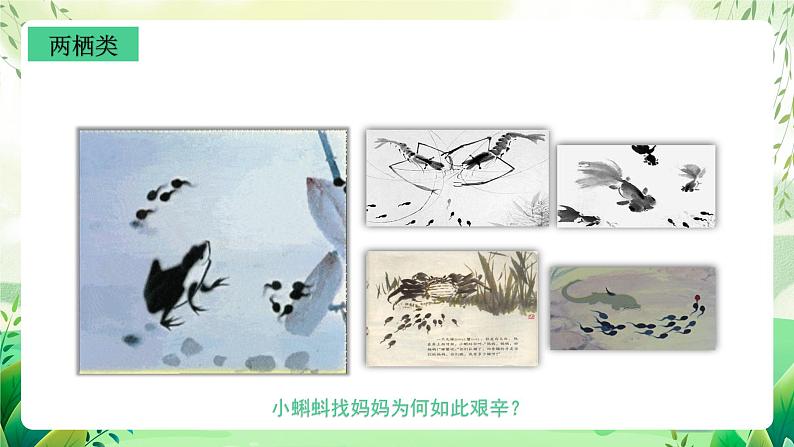 沪教版生物八下4.2.1《脊椎动物（二）两栖类和爬行类》课件第3页