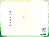 沪教版生物八下4.2.1《脊椎动物（二）两栖类和爬行类》课件
