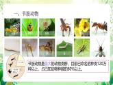 沪教版生物八下4.2.2《无脊椎动物 （四）节肢动物、棘皮动物》课件