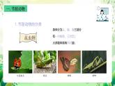 沪教版生物八下4.2.2《无脊椎动物 （四）节肢动物、棘皮动物》课件
