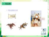 沪教版生物八下4.2.2《无脊椎动物 （四）节肢动物、棘皮动物》课件