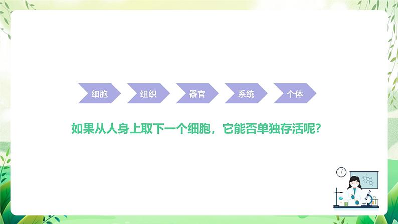 沪教版生物八下4.2.2《无脊椎动物+（一）原生、腔肠动物》课件第3页