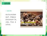 沪教版生物八下4.2.2《无脊椎动物（二） 扁形动物、线虫动物》课件