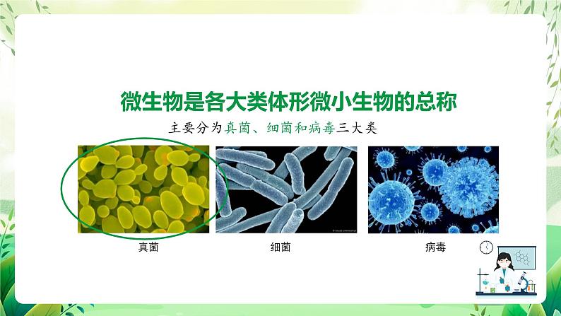 沪教版生物八下4.3.1《微生物（一）真菌》课件第2页