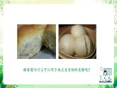 沪教版生物八下4.3.1《微生物（一）真菌》课件