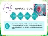 沪教版生物八下4.3.1《微生物（三）病毒》课件