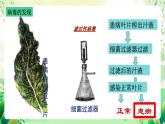 沪教版生物八下4.3.1《微生物（三）病毒》课件