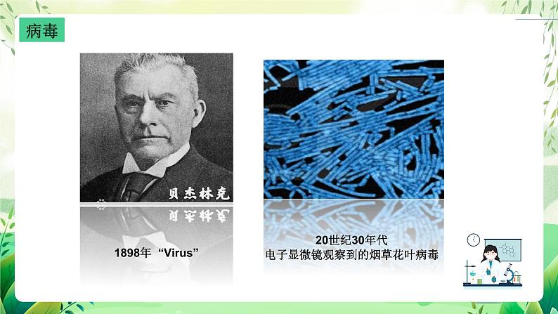 沪教版生物八下4.3.1《微生物（三）病毒》课件第5页