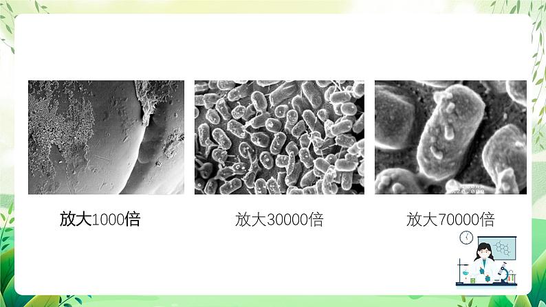 沪教版生物八下4.3.1《微生物（二）细菌》课件第3页