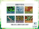 沪教版生物八下4.3.1《微生物（二）细菌》课件
