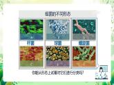 沪教版生物八下4.3.1《微生物（二）细菌》课件