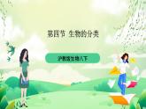 沪教版生物八下4.4《生物的分类》课件