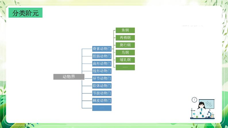 沪教版生物八下4.4《生物的分类》课件第7页