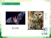沪教版生物八下5.1.1《生物与环境》课件