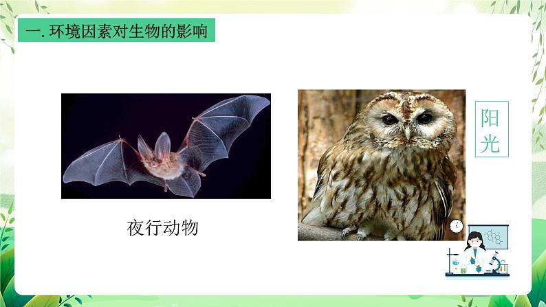 沪教版生物八下5.1.1《生物与环境》课件第5页