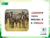 沪教版生物八下5.1.2《种群的数量变化规律及其应用》课件