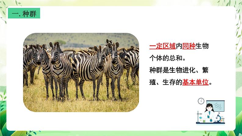 沪教版生物八下5.1.2《种群的数量变化规律及其应用》课件第3页