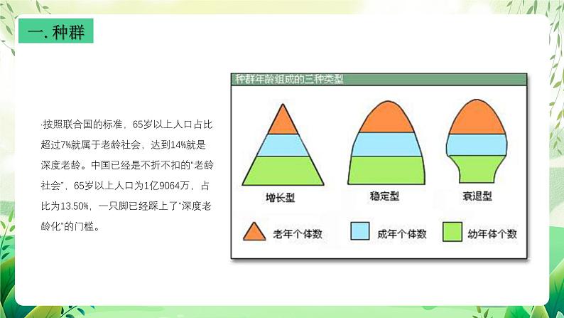 沪教版生物八下5.1.2《种群的数量变化规律及其应用》课件第7页