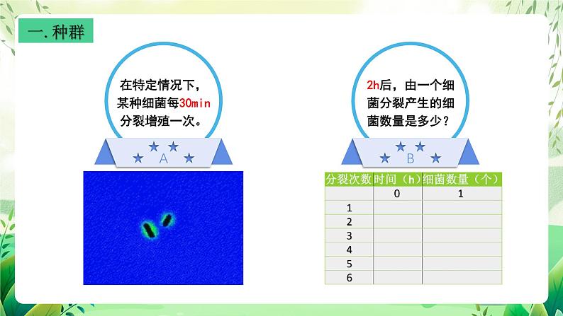 沪教版生物八下5.1.2《种群的数量变化规律及其应用》课件第8页