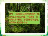 沪教版生物八下5.2.1《生态系统的结构与功能》课件