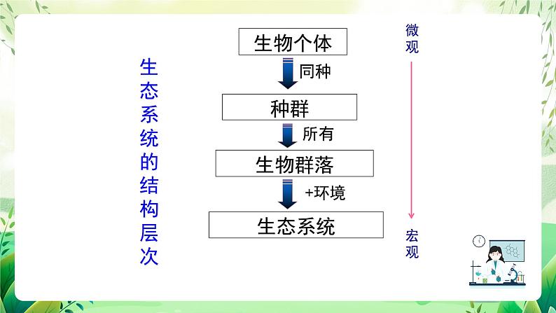 沪教版生物八下5.2.1《生态系统的结构与功能》课件第5页