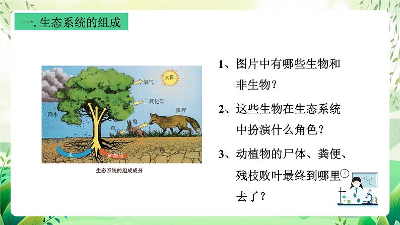 沪教版生物八下5.2.1《生态系统的结构与功能》课件第8页