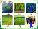 沪教版生物八下5.2.2《多种多样的生态系统》课件