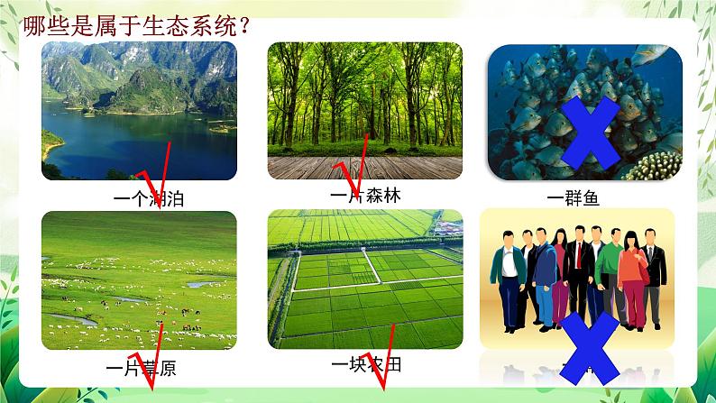 沪教版生物八下5.2.2《多种多样的生态系统》课件第4页