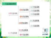 沪教版生物八下5.2.2《多种多样的生态系统》课件